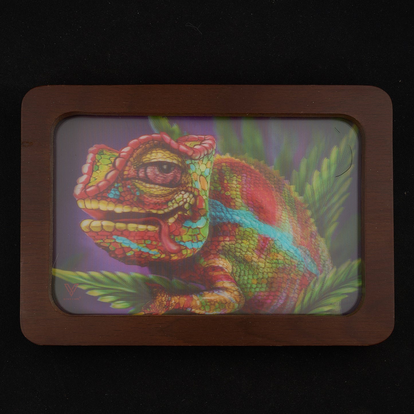 Colorful Frog Syndicate 3D HD Rolling Tray